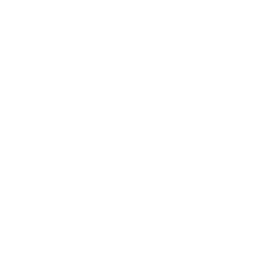 カテゴリアイコン